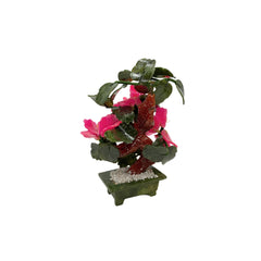 Camellia Tree Camellia Tree
