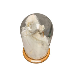 Domed Bridal Barbie Domed Bridal Barbie