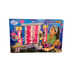 Hannah Montana Concert