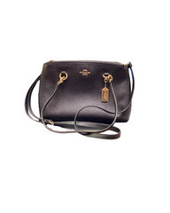 Coach Etta Carryall