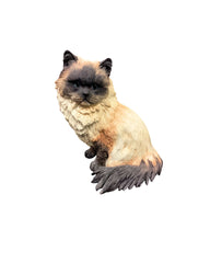 Vintage Himalayan Sitting Cat Statue (Model 03141)