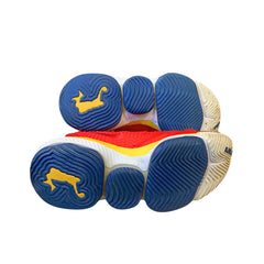 Nike LeBron Sneakers