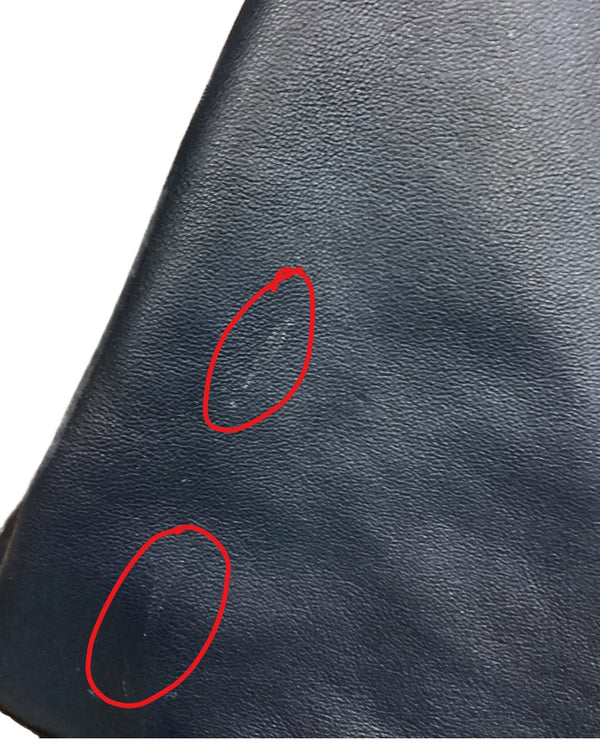 Coach Hadley Bag