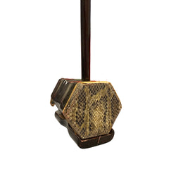 Chinese Erhu