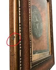Texas State Seal Framed Decor