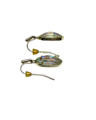 Iridescent Drop Earrings