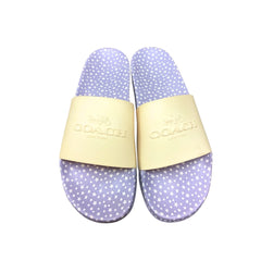 Coach Uli Slides(11)